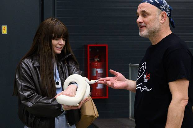 Zagreb: Izložba zmija, papiga, guštera i paukova u Family mallu