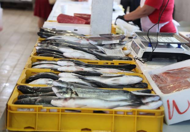 Šibenik: Ponuda ribe na ribarnici