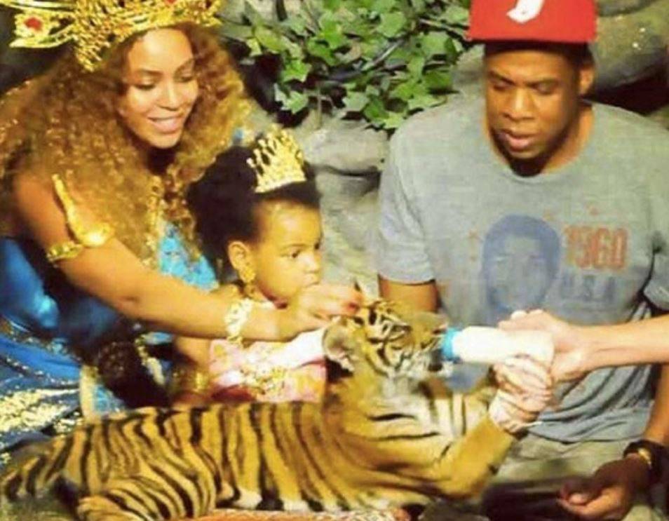 Mačkasta Beyonce: U leopard uzorku mamila poglede fanova