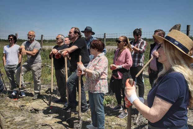 Photo received the hoe! The actors were in a afforestation action …