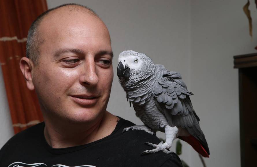 'Ja sam Hugo iz Splita, znam pričati i prati me cijeli svijet'