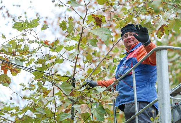 Zagreb: Zasvjetlile prve adventske lampice u parku Zrinjevac