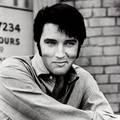 Za 50 milijuna kuna i vi možete živjeti kao kralj Elvis Presley