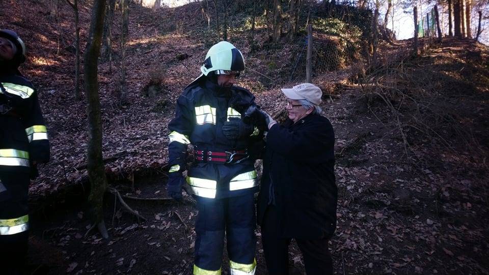 Puni perja i dlake: Sovu izvukli iz ograde, a mačka sa smreke