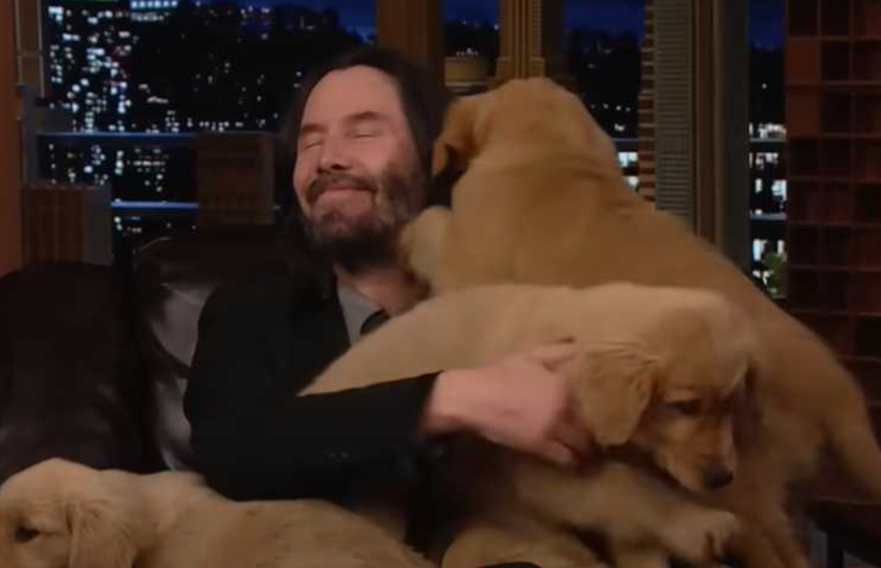 Keanu Reeves se u emisiji igrao sa psićima i raznježio mnoge pa rekao: 'Ja sam kralj štenaca!'