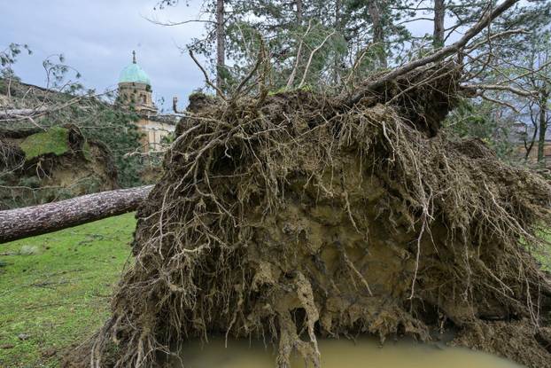 Zagreb: U nevremenu teško  oštećeno gradsko groblje Mirogoj
