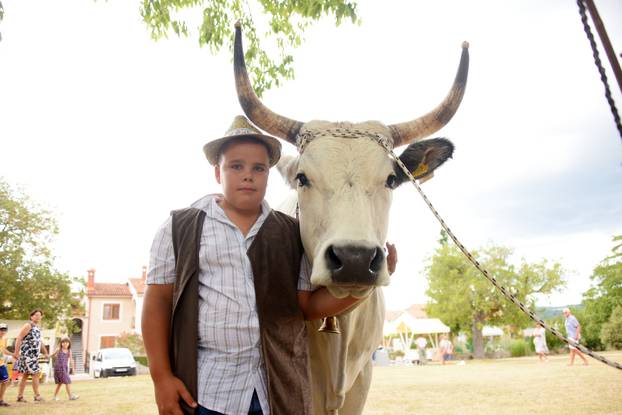 Kanfanar: 35. smotra istarskog boškarina