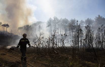 Spojila se dva požara kod Muća: Izgorjelo 50 hektara šume