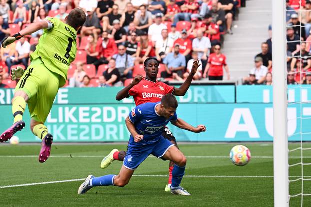 Bayer Leverkusen - TSG 1899 Hoffenheim