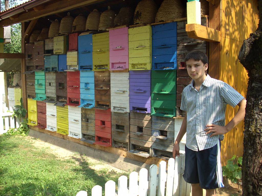 Mladi pčelar: Ivanove pčele daju dvije tone meda