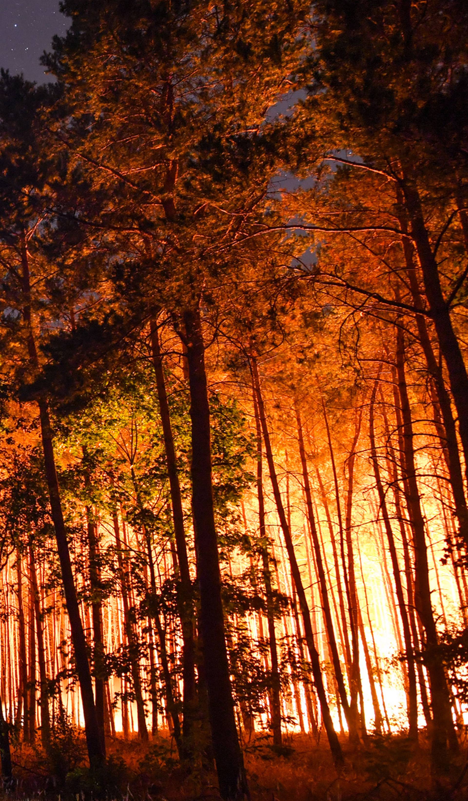 Forest fire in South Brandenburg