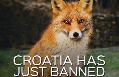 Peta na 'fejsu' o zabrani uzgoja životinja za krzno u Hrvatskoj