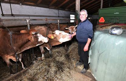 Obitelj iz Ludbrega: 'Sve naše kravice okidaju na Seve i Rozgu'