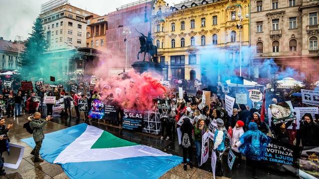Veganske zastave po Zagrebu: 'Spasite životinje i planet'