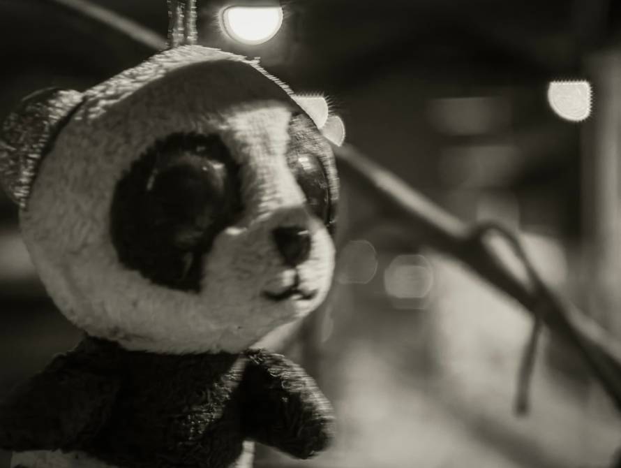 FOTO Isprobali smo Xiaomi 17 Ultra: Fotić koji želi biti telefon