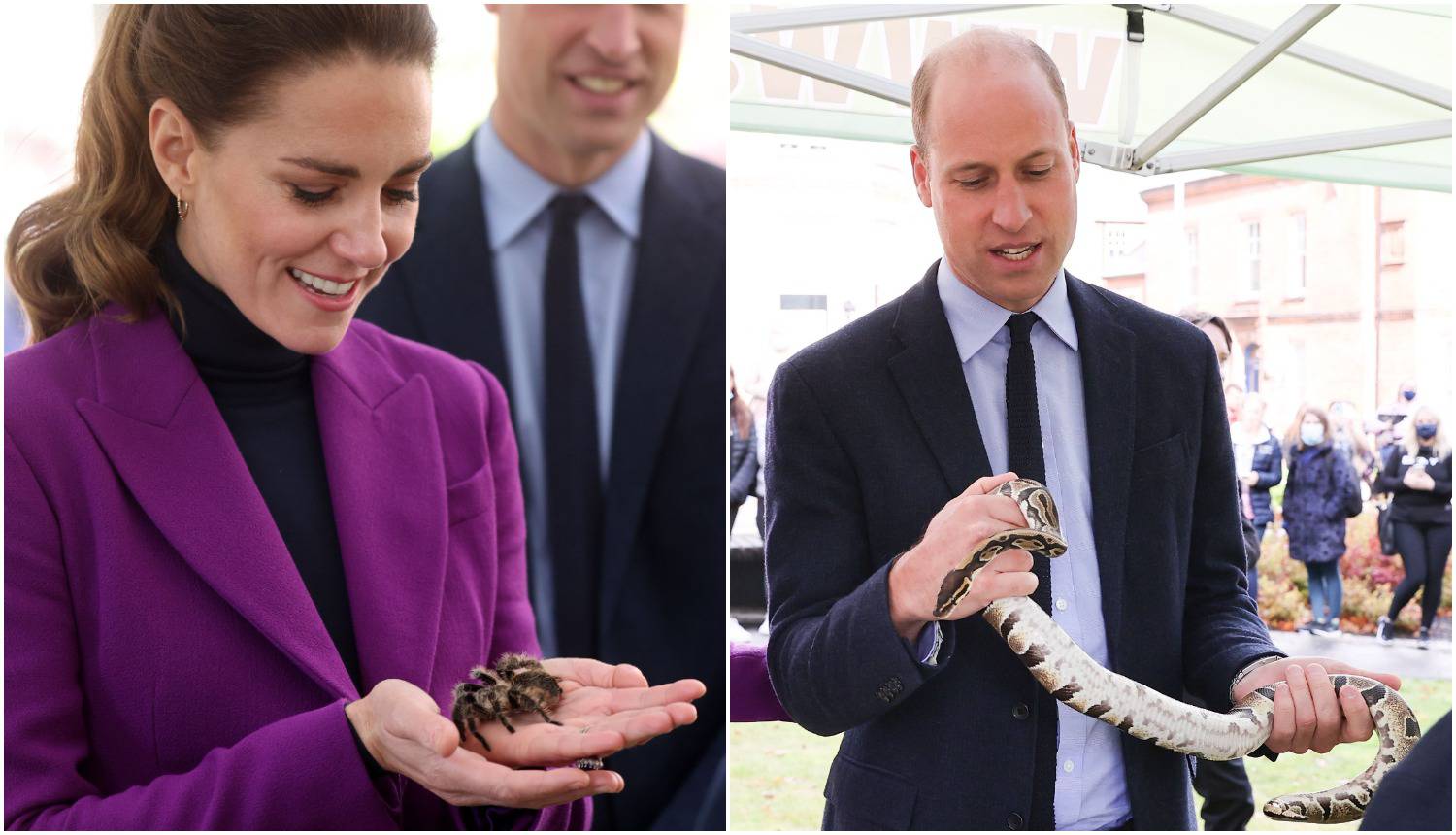 Kate držala tarantulu u ruci, a William hrabro mazio pitona
