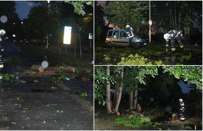 Osijek: Zbog vjetra i kiše pukla grana i pala na parkirani auto