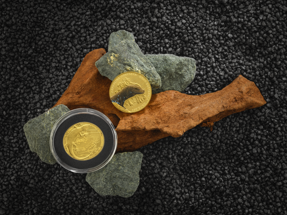 Pogledajte nove kovanice koje je izdao HNB:  Zlatnik i srebrnjak s likom endemske gušterice