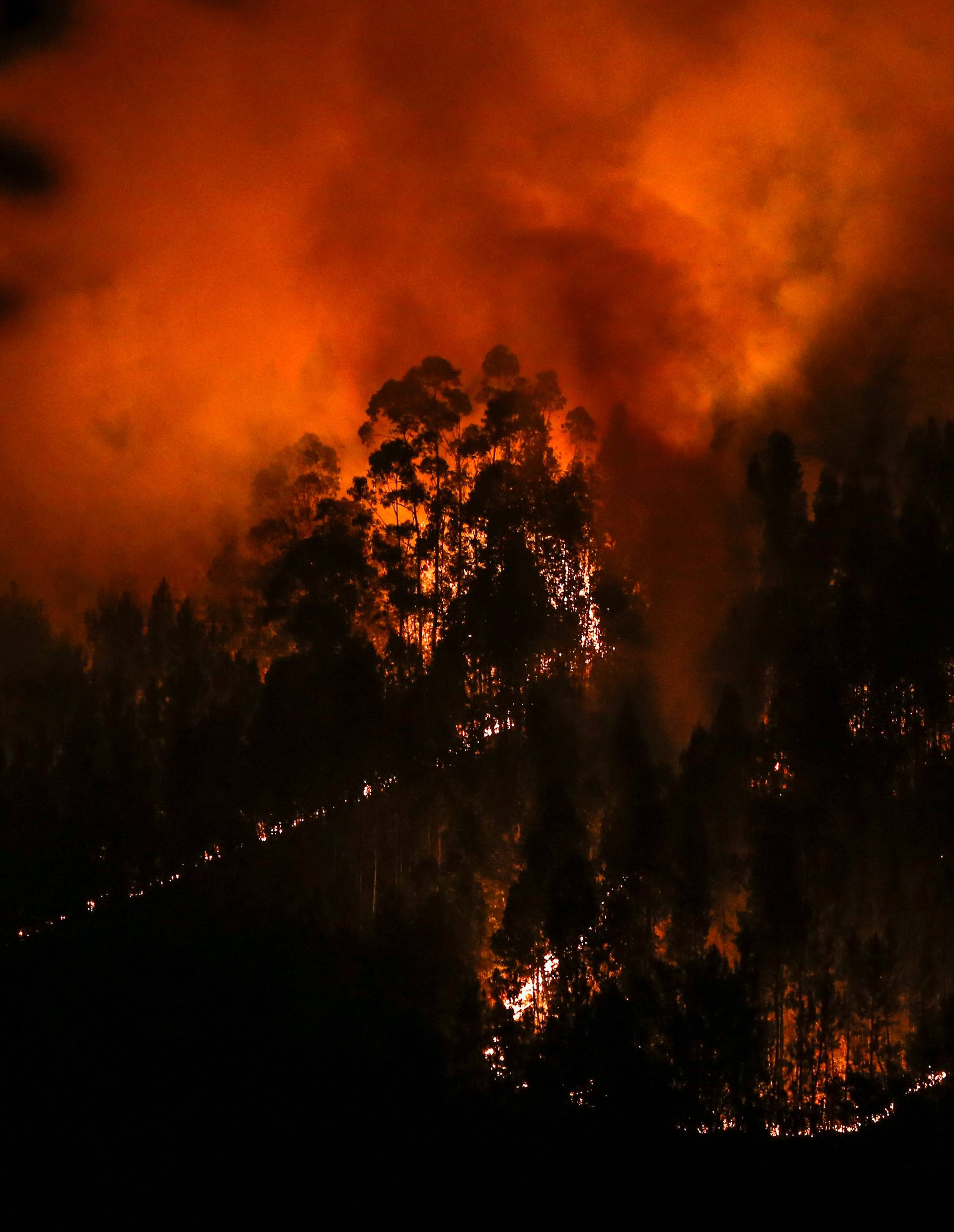 Smoke and flames from a forest fire are seen near Lousa