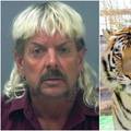 Joe Exotic pripremio limuzinu, frizera, vizažista i garderobu: Trump će me sigurno pomilovati