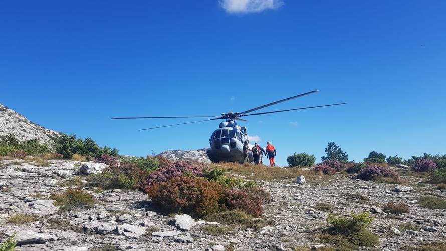 Dvije akcije HGSS-a zbog uboda stršljena: Planinar na Mosoru je izgubio svijest radi jake reakcije
