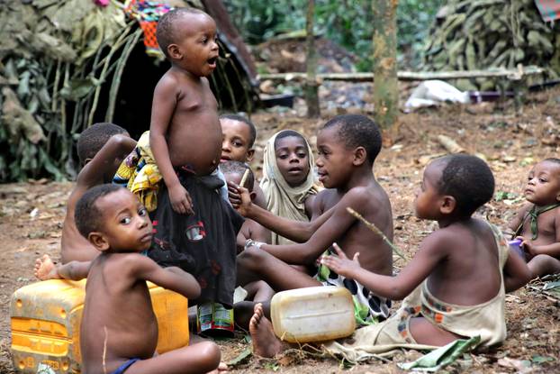 Baka Tribe Of Central Africa Struggle For Survival