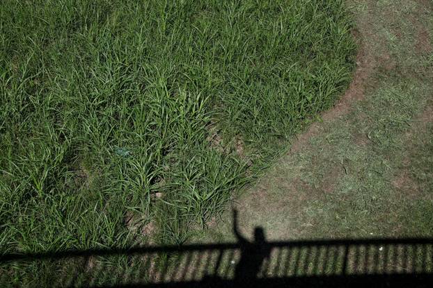 Započela je sezona alergenih biljaka u Zagrebu