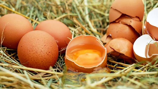 Prevencija salmonele: Evo kako kupiti, čuvati i pripremati jaja