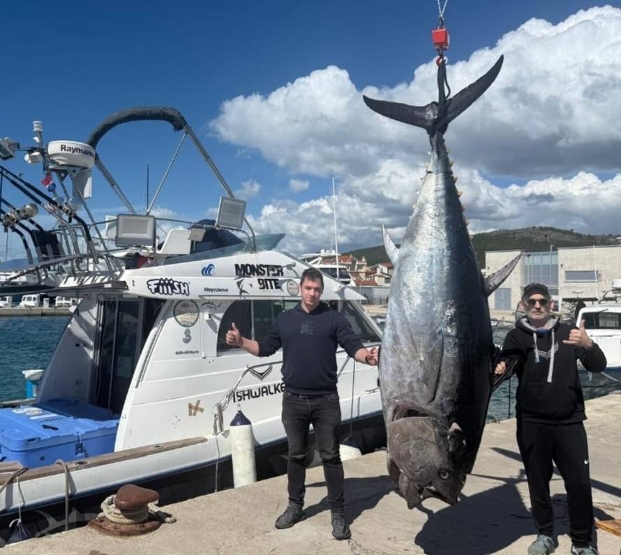VIDEO Nevjerojatno! Kod Dugog otoka opet je ulovio tunu kapitalku: 'Ima čak 300 kila'
