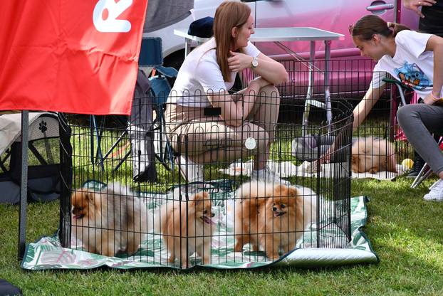 Izložba se održava danas i sutra u Slavonskom Brodu