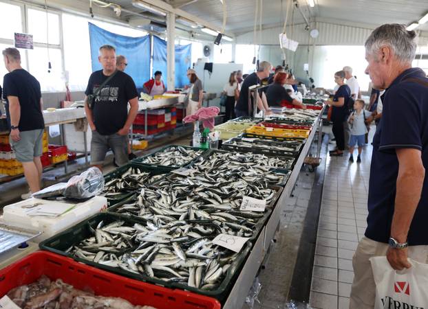 Šibenik: Ponuda ribe na ribarnici