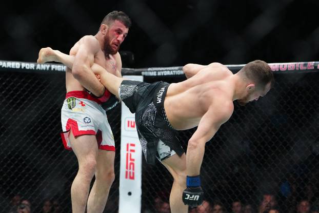 MMA: UFC 323 - Dvalishvili vs Yan