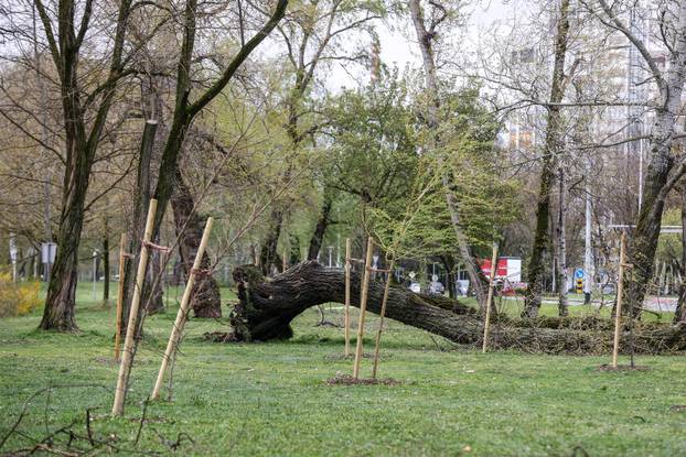 Zagreb: Olujno nevrijeme počupalo stabla na Bundeku 
