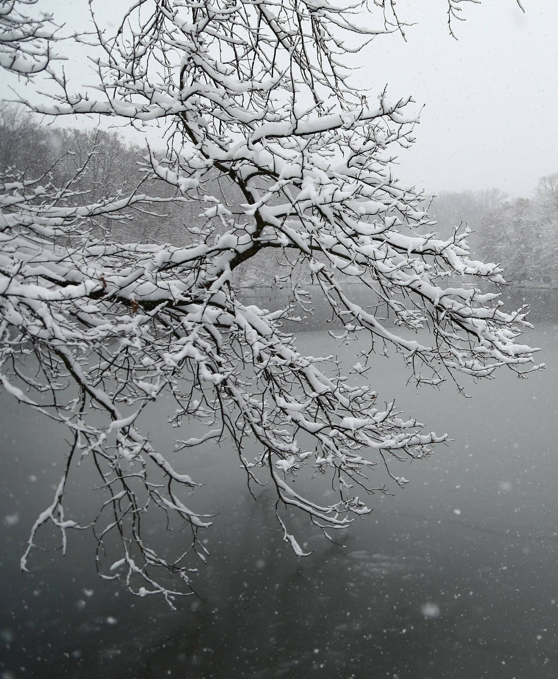 Snow falls in Zagreb's park Maksimir