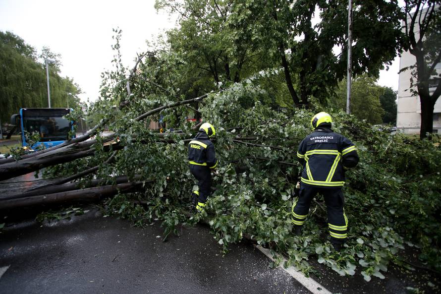 Zagreb: Vatrogasci uklanjaju stablo koje je palo u Ulici Svetog Mateja