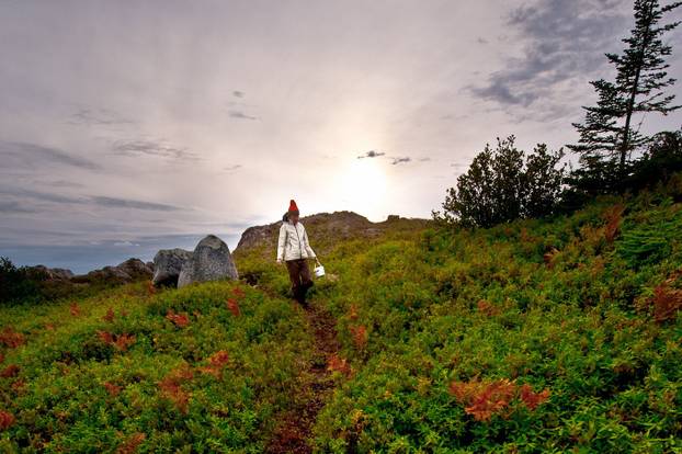 FOTO Ovo je hotel na rubu svijeta: Pogled s Fogo Island Inna ostavit će vas bez riječi