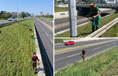 Grad Zagreb: Vrijedni radnici kose u najtežim uvjetima. Zaposlit ćemo još 100 radnika...