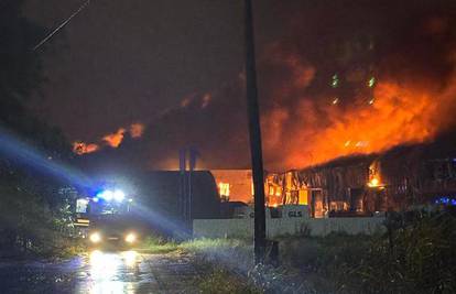 'Dva vatrogasca je eksplozija odbacila. Bilo je više eksplozija tijekom požara, vatra se širila'