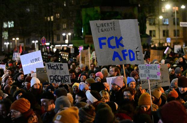 People protest against the Alternative for Germany party (AfD), in Cologne