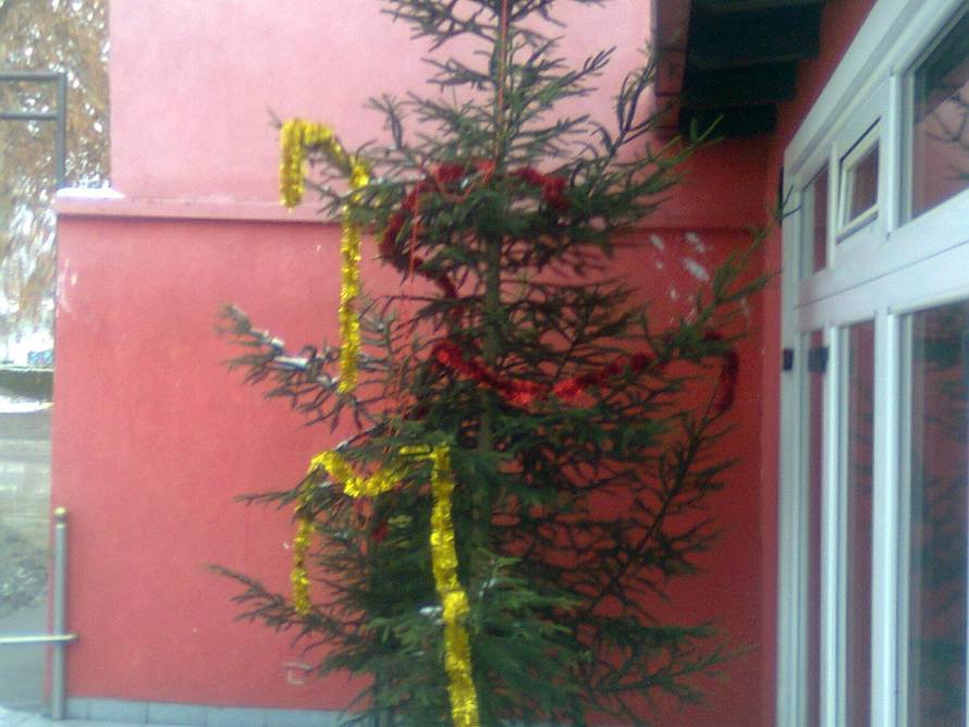 Šaljite fotografije božićnih jelki i osvojite vrijednu nagradu...