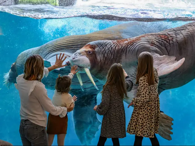 FOTO U Belgiji možete spavati u zoološkom: Evo koliko košta noć