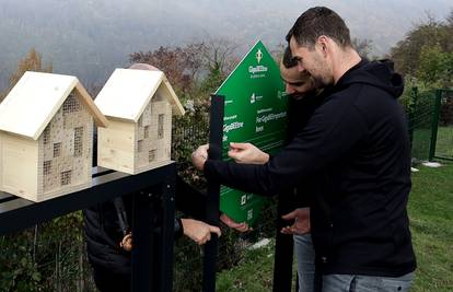 Na Medvedgradu postavljeno 10 hotela za solitarne pčele