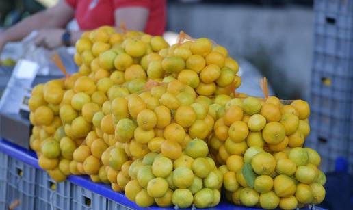 VIDEO Stigle su mandarine! U &Scaron;ibeniku ih ve&cacute; mo&zcaron;ete kupiti, evo koliko stoji kilogram