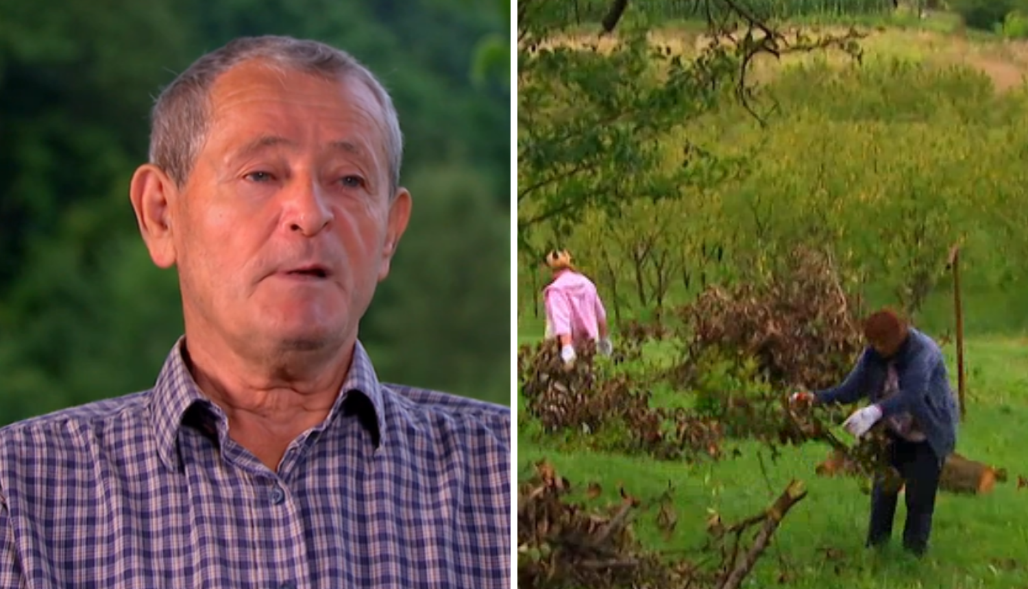 Stjepan zaposlio svoje dame da skupljaju grane pa se pobunile: 'Ti ćeš sjediti, a mi ćemo raditi?'