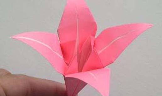 Zatvorenik se za bijeg ispričao origami cvijetom