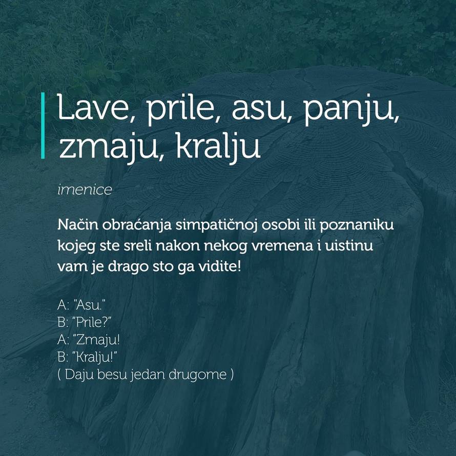 Asti Gospe! Iz dišpeta nejden u program: Džepni rječnik  čestih dalmatinskih izraza