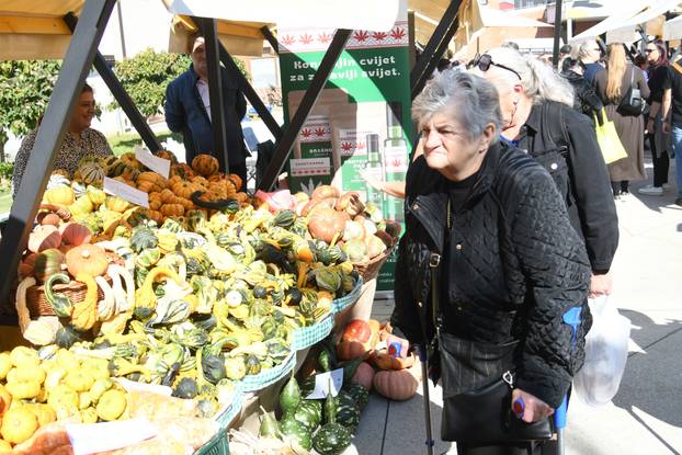 Ivanić Grad: Gastro manifestacija 'Bučijada u centru Ivanić Grada'