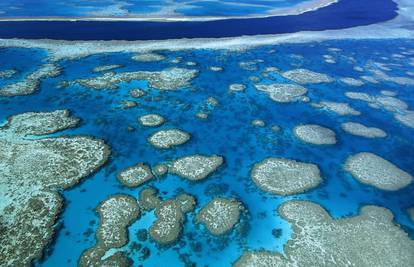 Velikim koraljnim grebenima prijeti propast zbog zatopljenja