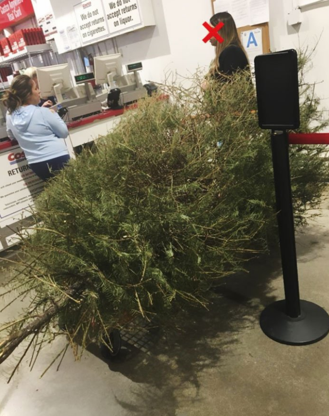 Vratila božićno drvce u dućan: 'Želim novac nazad, umrlo je'