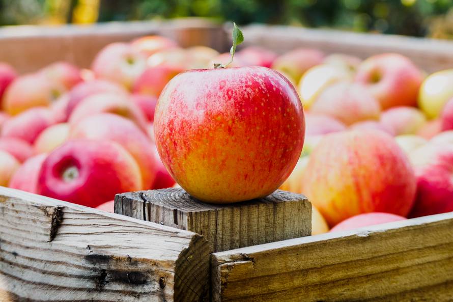 Jedite jabuke - lakše mršavite, spriječite zubni karijes, išijas...